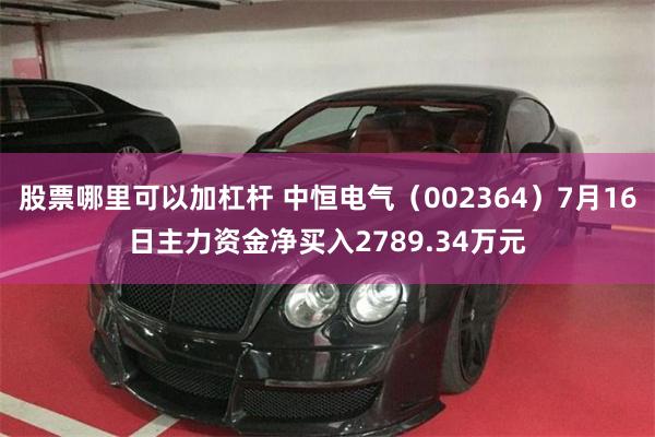 股票哪里可以加杠杆 中恒电气（002364）7月16日主力资金净买入2789.34万元