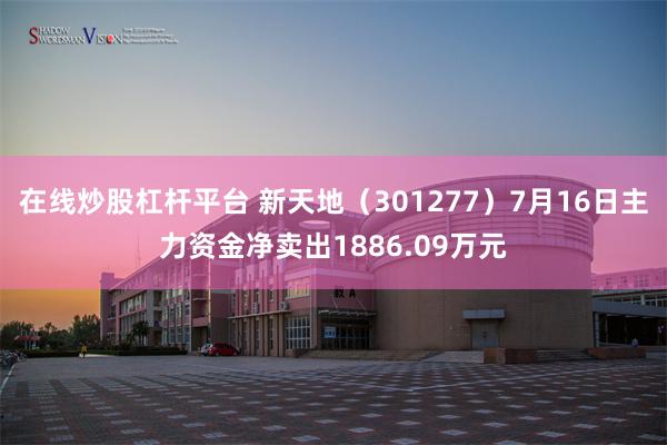 在线炒股杠杆平台 新天地（301277）7月16日主力资金净卖出1886.09万元