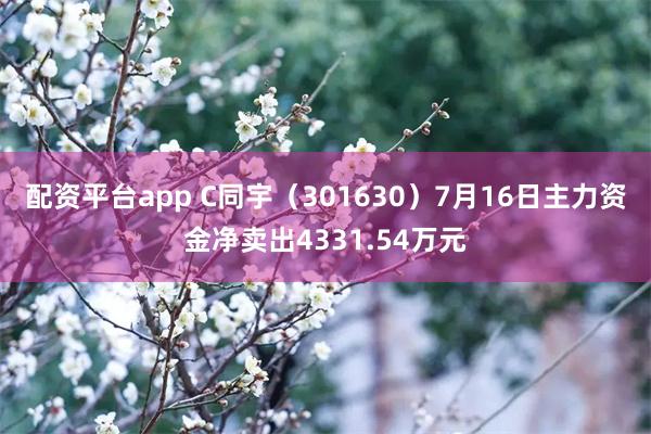 配资平台app C同宇（301630）7月16日主力资金净卖出4331.54万元