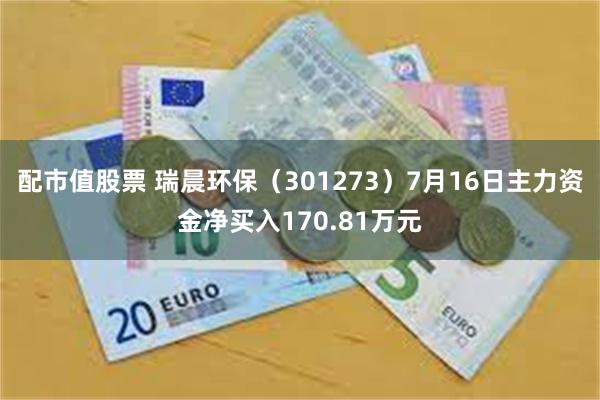 配市值股票 瑞晨环保（301273）7月16日主力资金净买入170.81万元