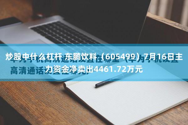 炒股中什么杠杆 东鹏饮料（605499）7月16日主力资金净卖出4461.72万元