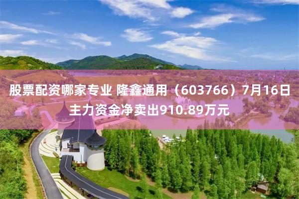 股票配资哪家专业 隆鑫通用（603766）7月16日主力资金净卖出910.89万元