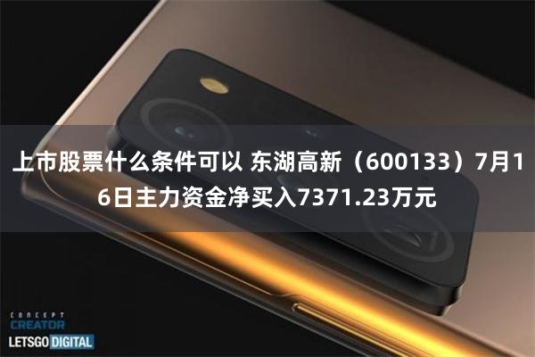 上市股票什么条件可以 东湖高新（600133）7月16日主力资金净买入7371.23万元