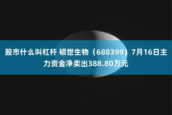 股市什么叫杠杆 硕世生物（688399）7月16日主力资金净卖出388.80万元