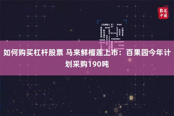 如何购买杠杆股票 马来鲜榴莲上市：百果园今年计划采购190吨