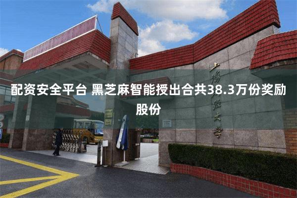 配资安全平台 黑芝麻智能授出合共38.3万份奖励股份
