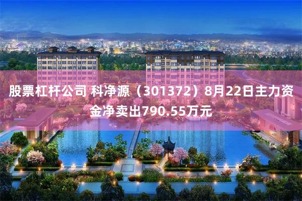 股票杠杆公司 科净源（301372）8月22日主力资金净卖出790.55万元