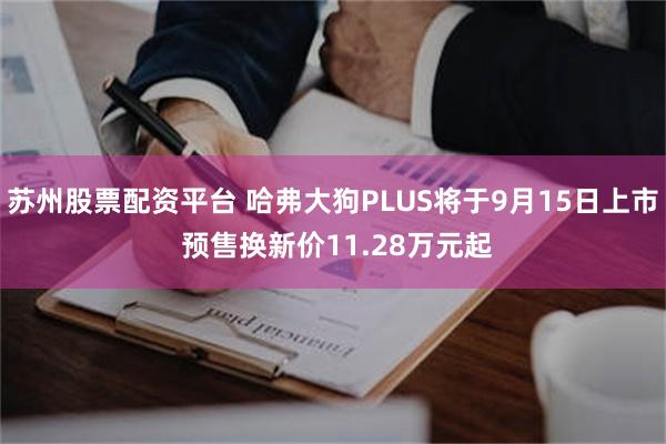 苏州股票配资平台 哈弗大狗PLUS将于9月15日上市 预售换新价11.28万元起