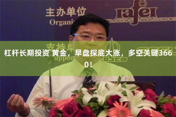 杠杆长期投资 黄金，早盘探底大涨，多空关键3660！