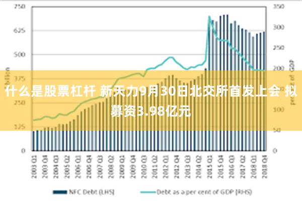 什么是股票杠杆 新天力9月30日北交所首发上会 拟募资3.98亿元