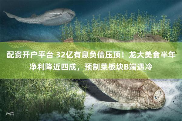 配资开户平台 32亿有息负债压顶！龙大美食半年净利降近四成，预制菜板块B端遇冷