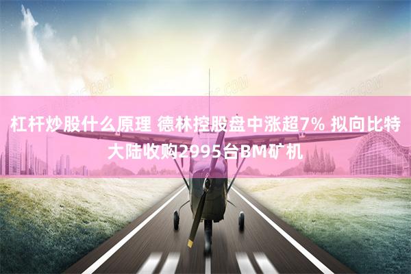 杠杆炒股什么原理 德林控股盘中涨超7% 拟向比特大陆收购2995台BM矿机