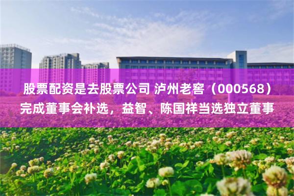 股票配资是去股票公司 泸州老窖（000568）完成董事会补选，益智、陈国祥当选独立董事