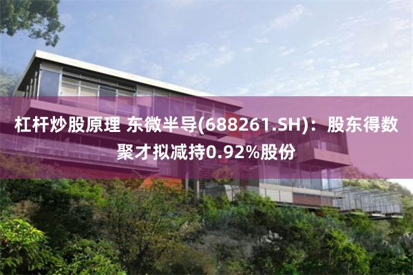 杠杆炒股原理 东微半导(688261.SH)：股东得数聚才拟减持0.92%股份
