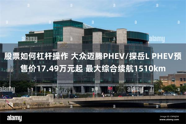 股票如何杠杆操作 大众迈腾PHEV/探岳L PHEV预售价17.49万元起 最大综合续航1510km