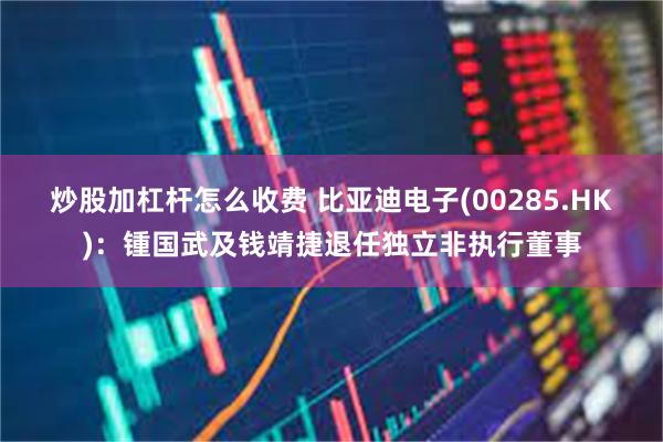 炒股加杠杆怎么收费 比亚迪电子(00285.HK)：锺国武及钱靖捷退任独立非执行董事