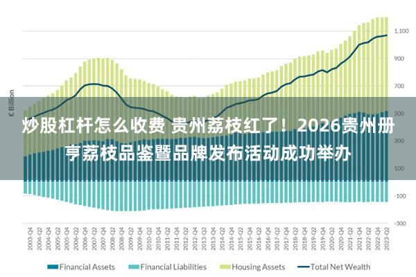 炒股杠杆怎么收费 贵州荔枝红了！2026贵州册亨荔枝品鉴暨品牌发布活动成功举办