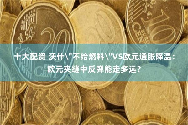 十大配资 沃什＂不给燃料＂VS欧元通胀降温：欧元夹缝中反弹能走多远？