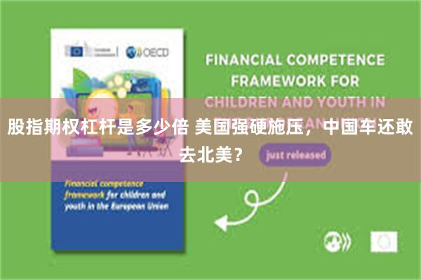 股指期权杠杆是多少倍 美国强硬施压，中国车还敢去北美？