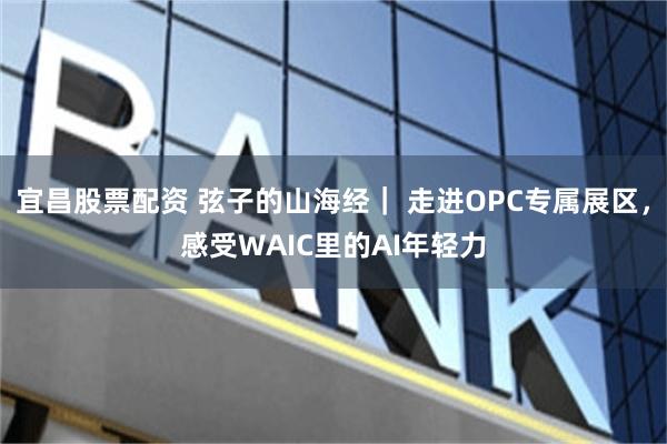 宜昌股票配资 弦子的山海经｜ 走进OPC专属展区，感受WAIC里的AI年轻力
