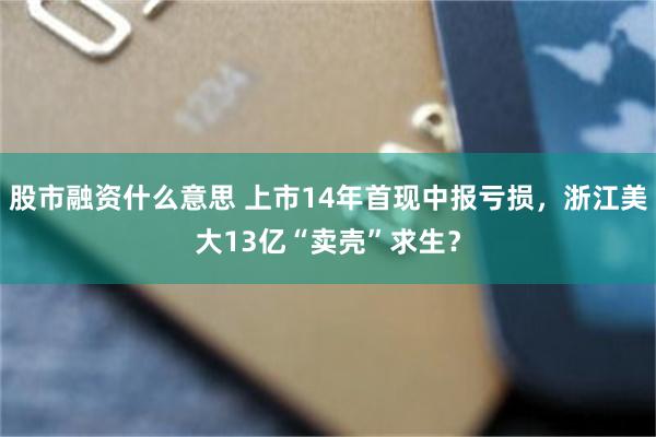 股市融资什么意思 上市14年首现中报亏损，浙江美大13亿“卖壳”求生？