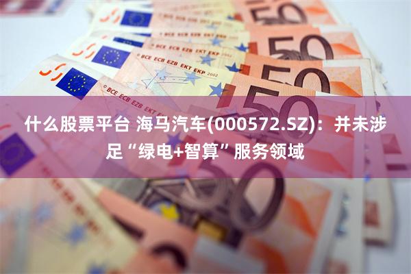 什么股票平台 海马汽车(000572.SZ)：并未涉足“绿电+智算”服务领域