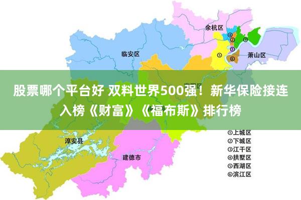 股票哪个平台好 双料世界500强！新华保险接连入榜《财富》《福布斯》排行榜