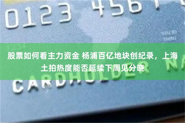 股票如何看主力资金 杨浦百亿地块创纪录，上海土拍热度能否延续下周见分晓