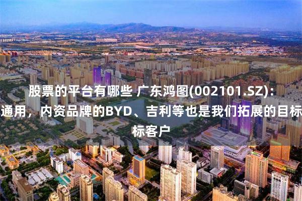股票的平台有哪些 广东鸿图(002101.SZ)：除了通用，内资品牌的BYD、吉利等也是我们拓展的目标客户