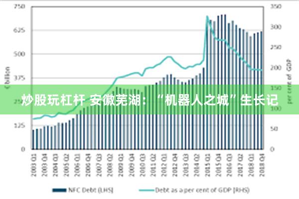 炒股玩杠杆 安徽芜湖：“机器人之城”生长记