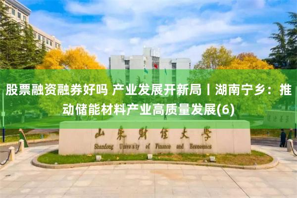 股票融资融券好吗 产业发展开新局丨湖南宁乡：推动储能材料产业高质量发展(6)