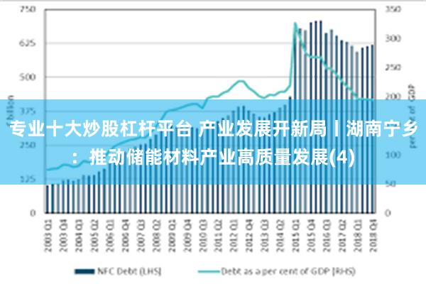 专业十大炒股杠杆平台 产业发展开新局丨湖南宁乡：推动储能材料产业高质量发展(4)