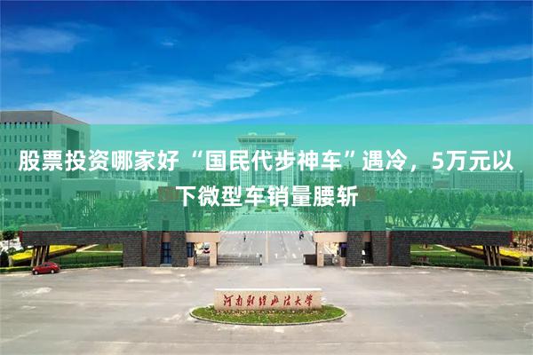 股票投资哪家好 “国民代步神车”遇冷，5万元以下微型车销量腰斩