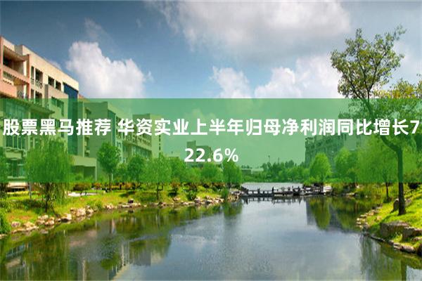 股票黑马推荐 华资实业上半年归母净利润同比增长722.6%