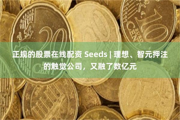 正规的股票在线配资 Seeds | 理想、智元押注的触觉公司,又融了数亿元