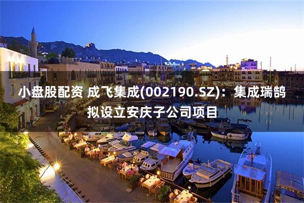 小盘股配资 成飞集成(002190.SZ)：集成瑞鹄拟设立安庆子公司项目