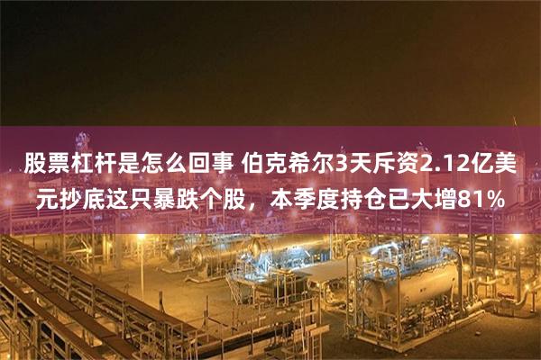 股票杠杆是怎么回事 伯克希尔3天斥资2.12亿美元抄底这只暴跌个股，本季度持仓已大增81%