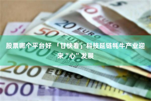 股票哪个平台好 「甘快看」科技延链牦牛产业迎来“心”发展
