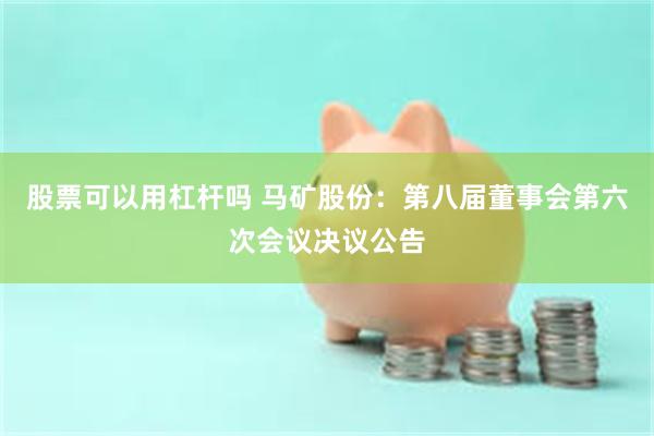 股票可以用杠杆吗 马矿股份：第八届董事会第六次会议决议公告
