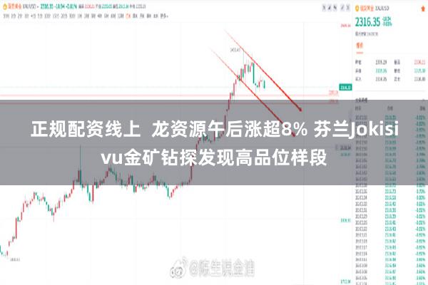 正规配资线上  龙资源午后涨超8% 芬兰Jokisivu金矿钻探发现高品位样段